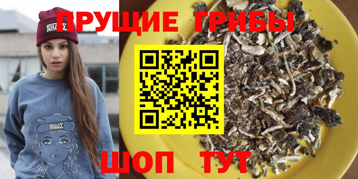 Галлюциногенные грибы Psilocybine cubensis Ухта