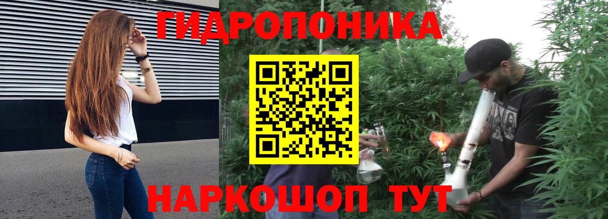 Бошки Шишки планчик Ухта